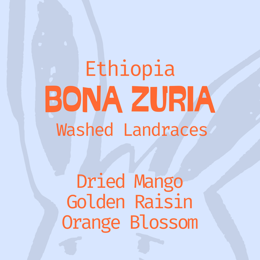 Ethiopia | Bona Zuria | Washed Landraces