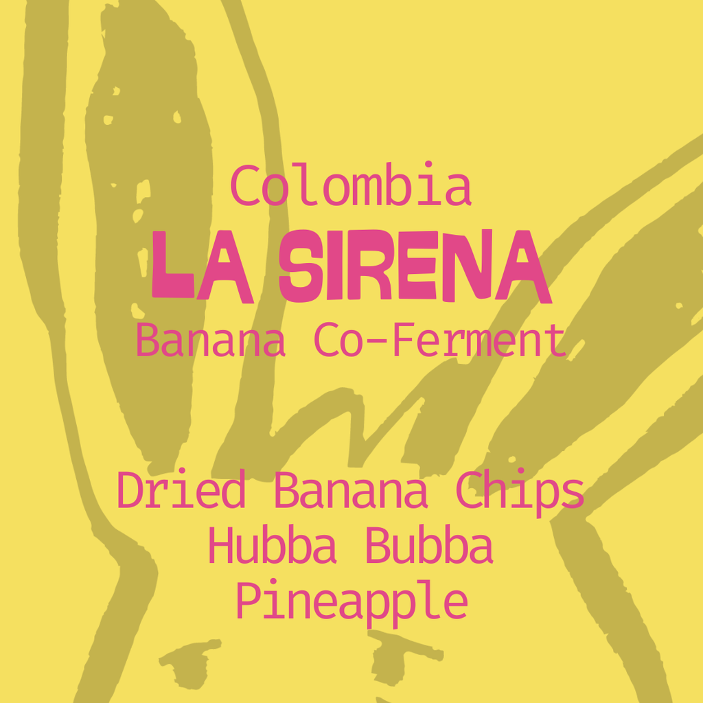 Colombia | La Sirena | Banana Co-Ferment