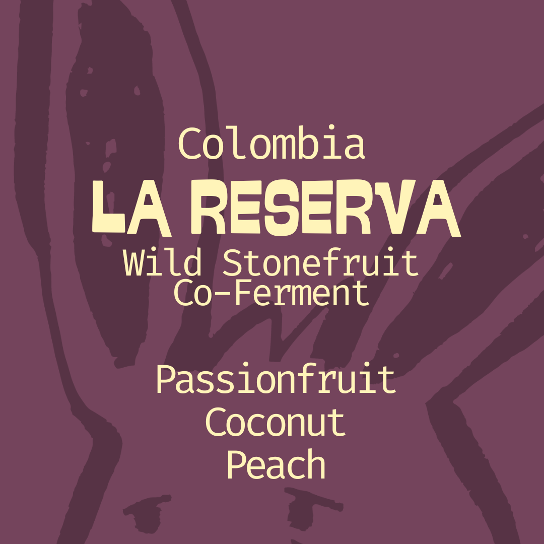 Colombia | La Reserva | Stonefruit Co-Ferment