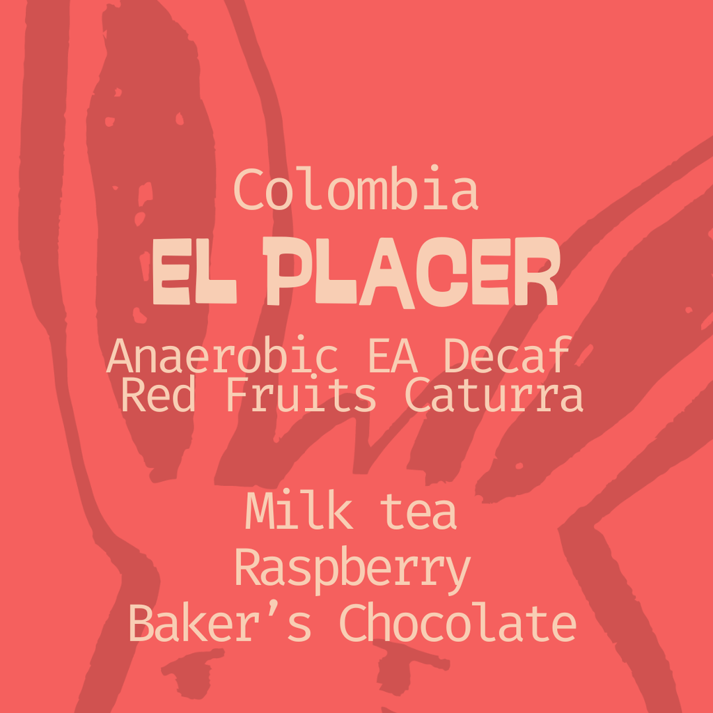 Colombia | El Placer | Red Fruits Decaf Blend