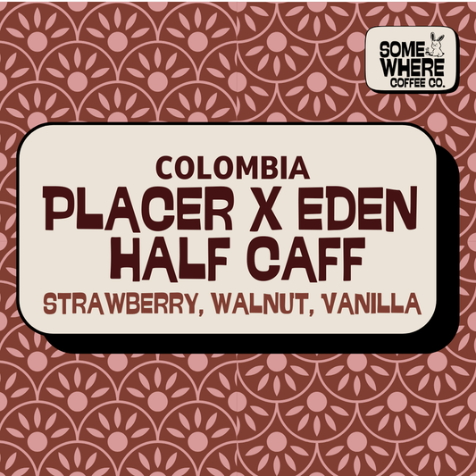 Placer X Eden Half Caff