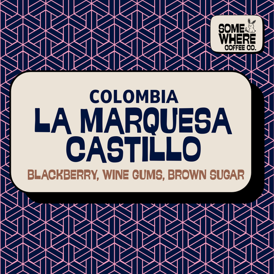 Colombia | La Marquesa | Castillo Washed