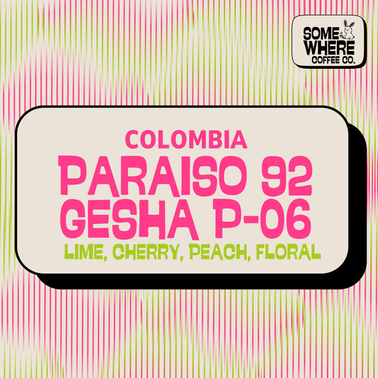 Colombia | Paraiso 92 | Gesha