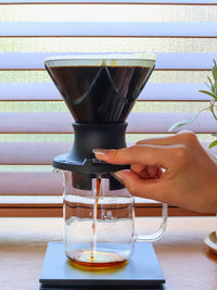 HARIO | Mugen Switch Immersion Dripper (200ml / 7oz) (Plastic)