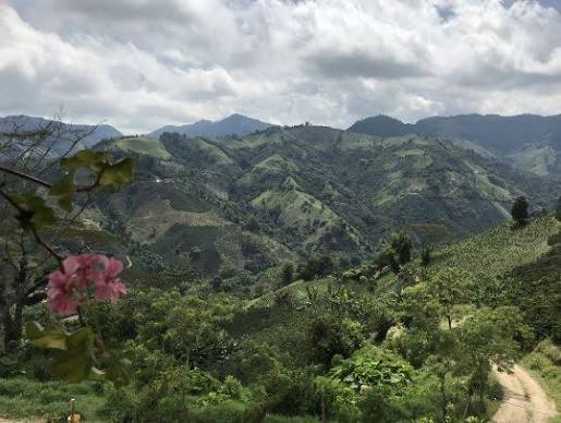 Colombia | Laderas del Tapias | Catiope Cono Natural