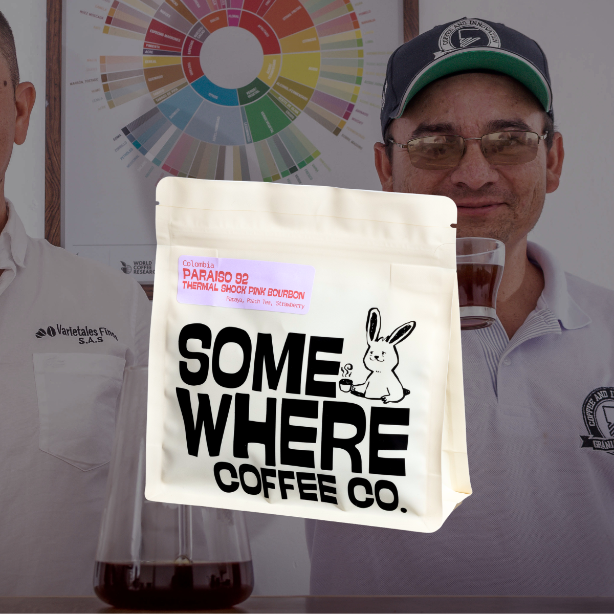 Colombia | Paraíso 92 | Thermal Shock Pink Bourbon