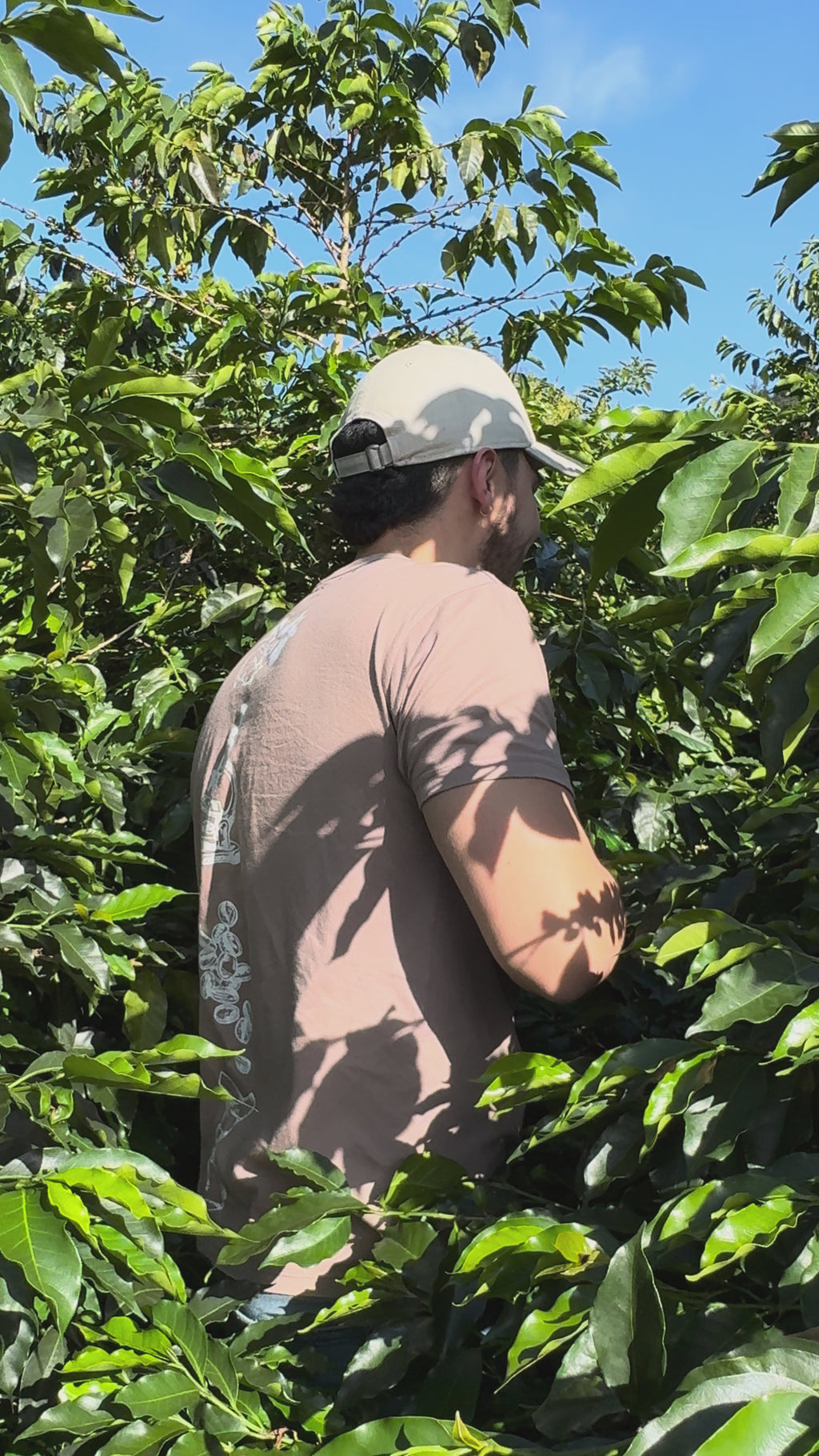Colombia | Finca El Guayabo | Pink Bourbon Natural