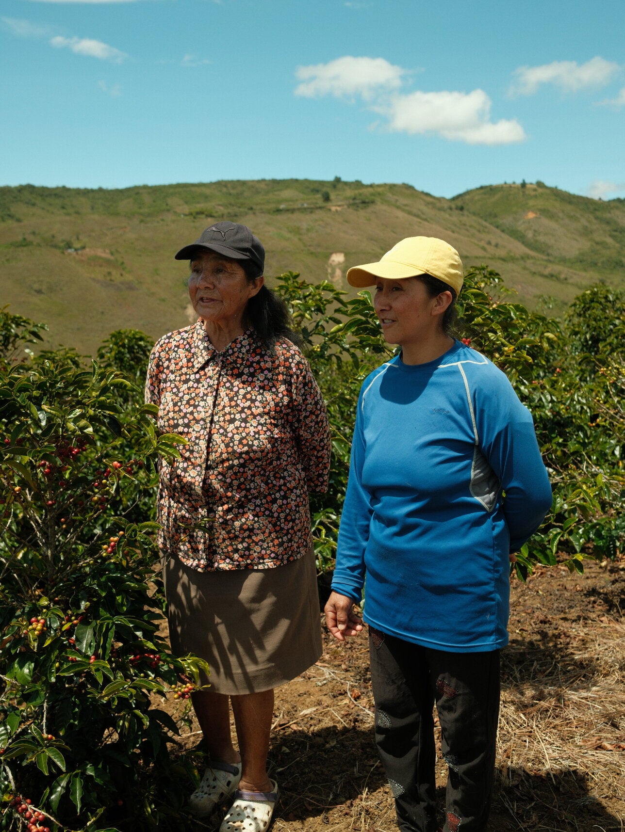 Colombia | La Esperanza | Washed Caturra