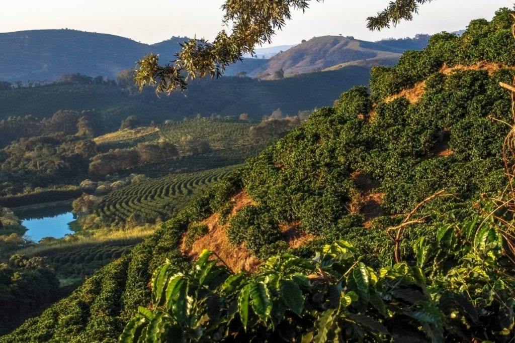 A breathtaking scenic view of the rolling green hills and manicured coffee rows in the Serras de Minas region of Brazil, featuring a bright blue lake and rugged mountains in the distance, representing the lush origin of Somewhere Coffee's Brazilian Natural Mosaic lot.