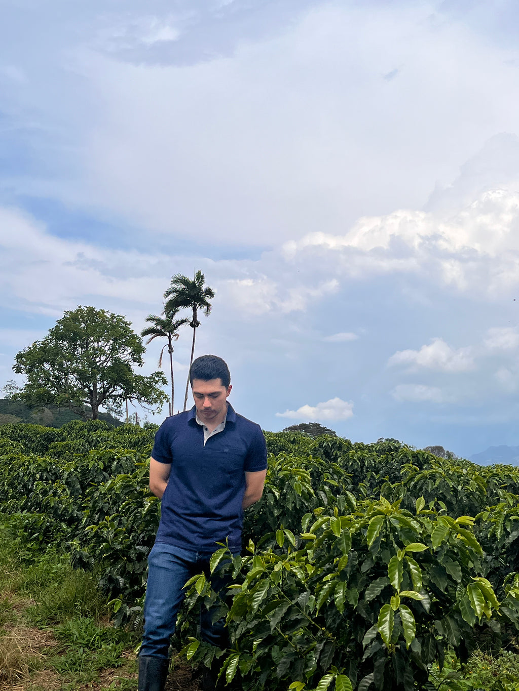 A portrait of Bryan Smith standing amidst a sea of lush, vibrant green coffee plants at Finca Satus in Pitalito, Huila, with tall palm trees and an expansive cloudy sky behind him, representing the pristine high-altitude terroir of his Washed Pink Bourbon for Somewhere Coffee.