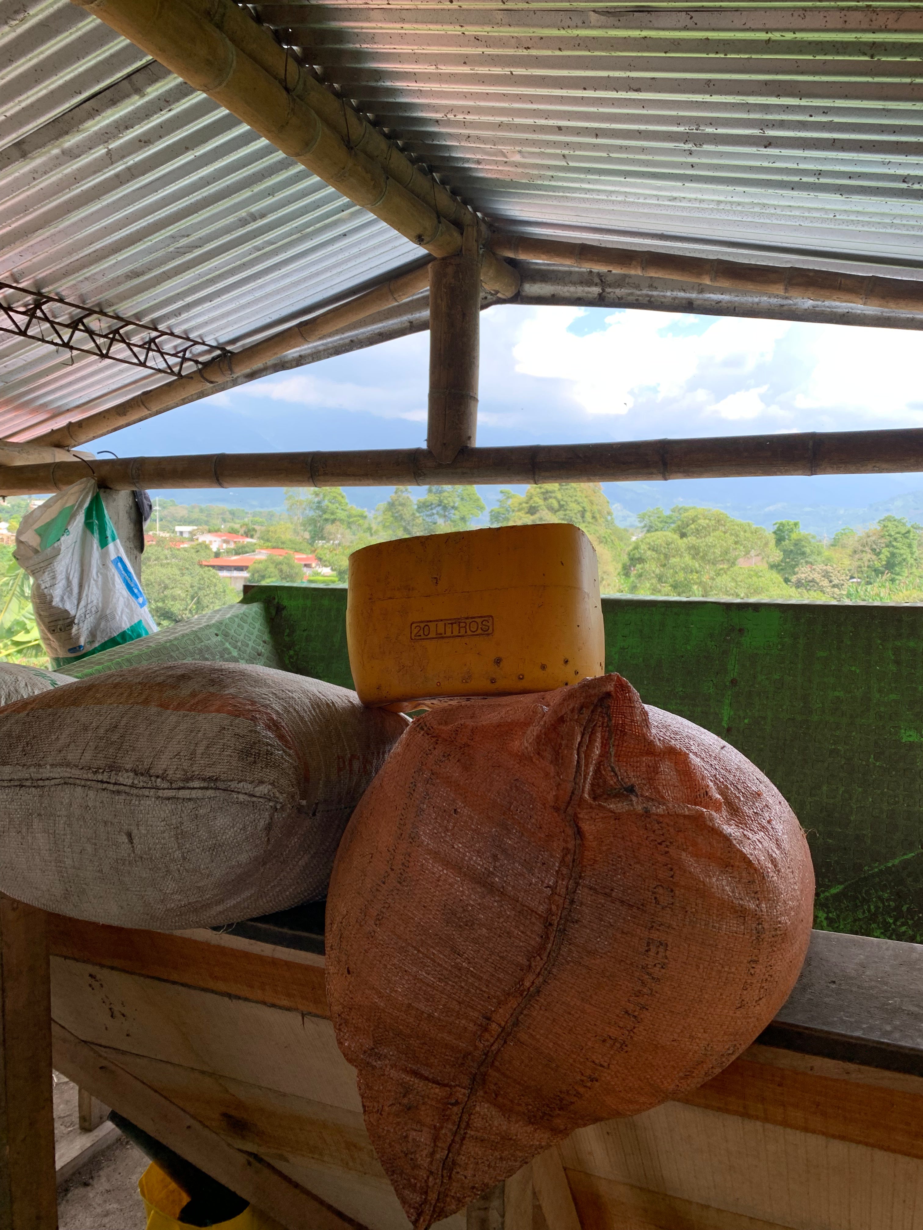 Inside the rustic drying shed at La Sirena Farm in Armenia, Quindío, filled with burlap grain sacks and resting coffee beans. The roof offers shade protection for the carefully processed Castillo beans, while the mountains of the Colombian coffee triangle are visible through the open structure.