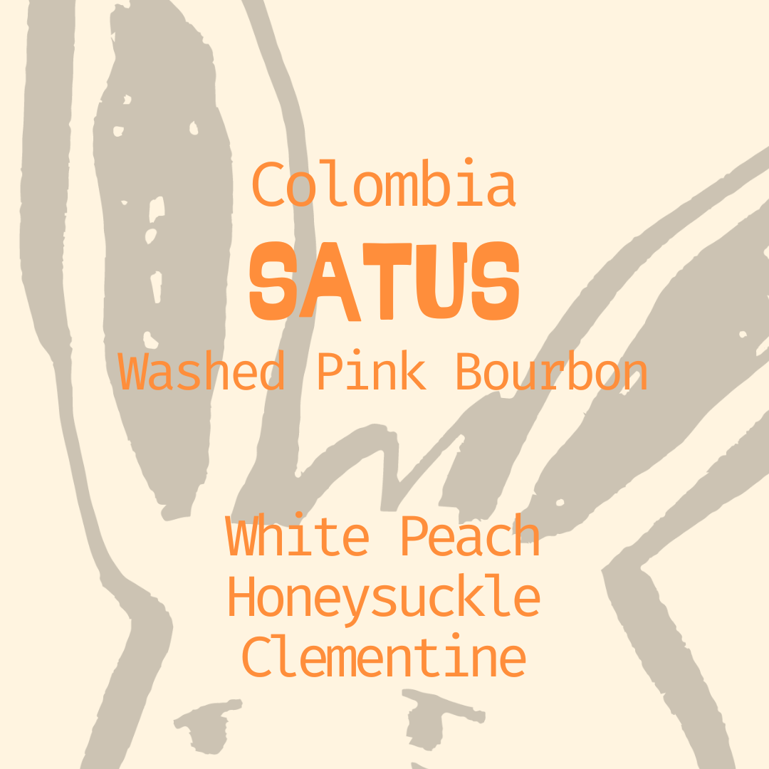 A descriptive graphic label for Somewhere Coffee's Colombia Satus lot, detailing a Washed Pink Bourbon with tasting notes of White Peach, Honeysuckle, and Clementine, set against a clean cream background with a subtle botanical outline.