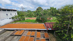 Elevated raised drying beds at El Eden Farm in Quindío, Colombia, covered in a thick layer of golden-brown honey-process parchment coffee, undergoing the final stabilization phase after a 48-hour strawberry and banana co-fermentation for Somewhere Coffee.