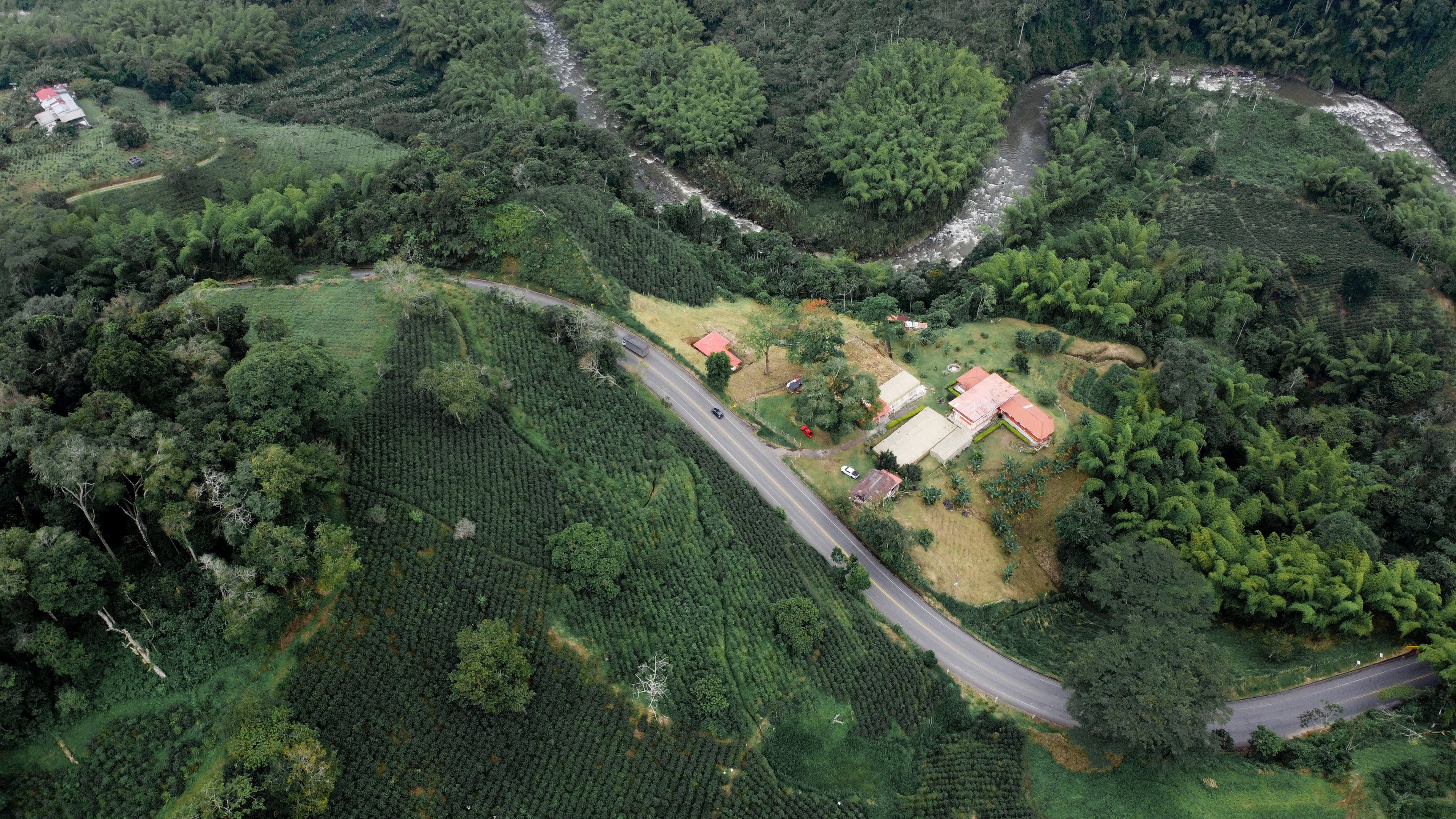 A sweeping aerial drone photograph of El Placer Coffee Project in Quindío, Colombia, showing the sprawling green coffee fields, a winding paved road curving through the property, and a rushing river flanked by bamboo forests, capturing the stunning biodiversity of the region.