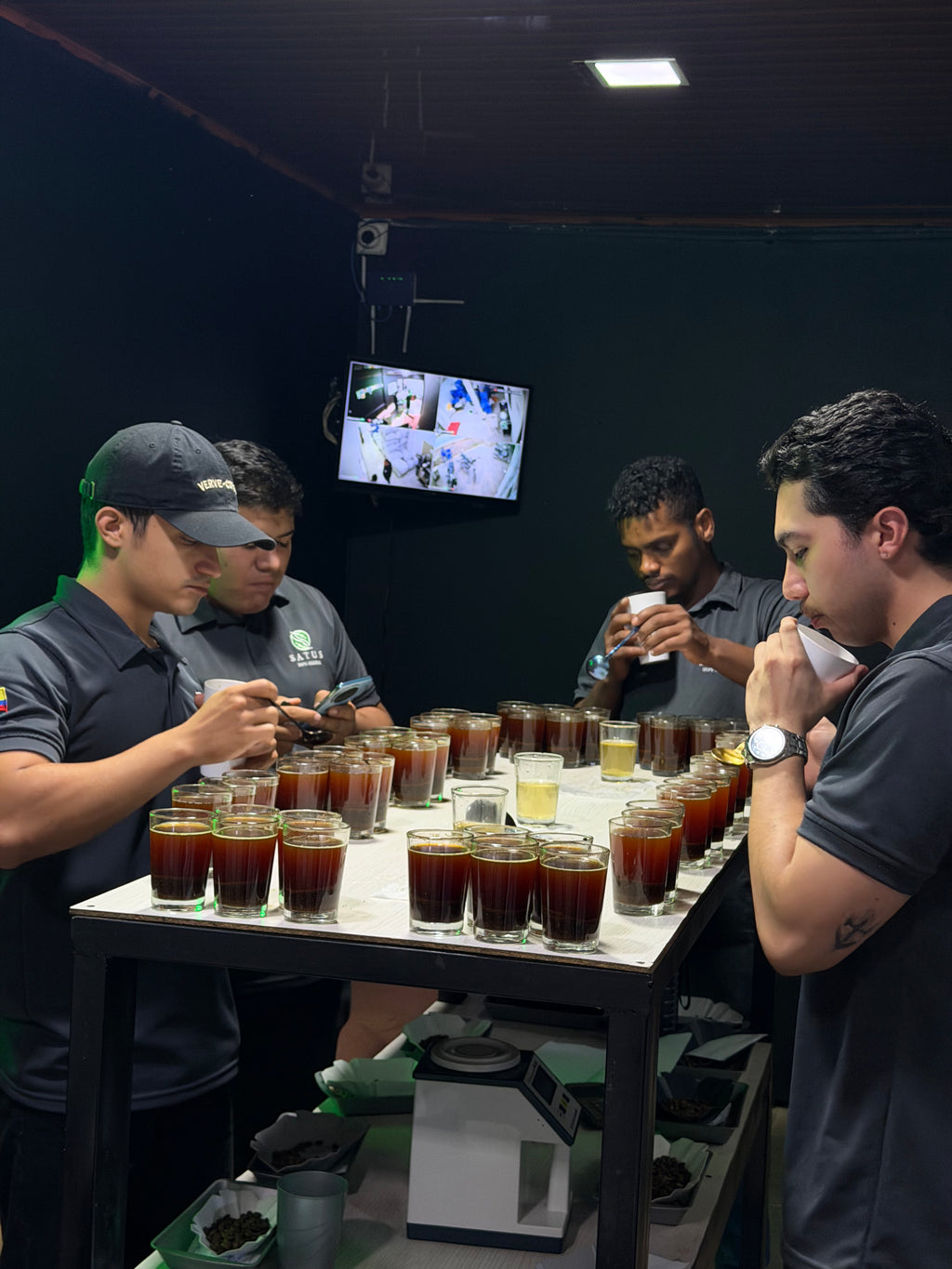 A professional cupping session at the Finca Satus quality lab, featuring a line of glass cups filled with brewed coffee and trays of grounds. Four men in branded apparel are actively smelling and evaluating the aromatic profiles, demonstrating the rigorous quality control behind Somewhere Coffee's Pink Bourbon selection.