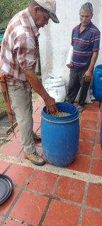Producer Juan David Puerta reaching into a blue fermentation barrel to inspect the progress of his experimental spiced co-fermented honey Castillo coffee at La Sirena Farm in Quindío, Colombia, exclusively for Somewhere Coffee.