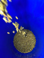 A dynamic top-down shot of golden-yellow washed coffee beans cascading into a vibrant blue fermentation barrel at Laboyani Farm, preparing the Gesha varietal for drying.