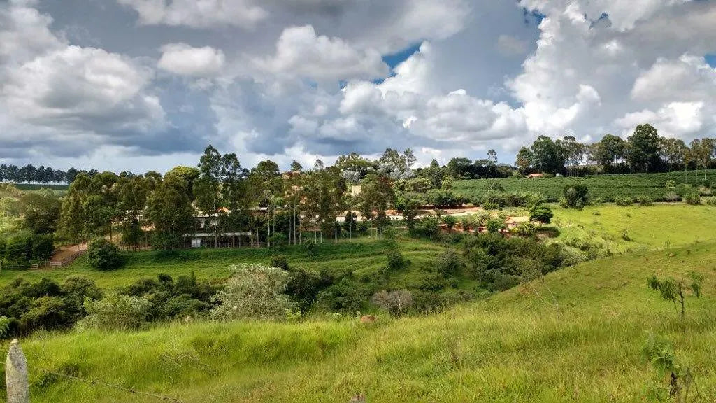 A wide shot of the pastoral Brazilian countryside in the Serras de Minas region, featuring rolling green pastures, a farmhouse complex nestled among tall trees, and a dramatic, cloud-filled blue sky, showcasing the natural environment where Somewhere Coffee sources its beans.