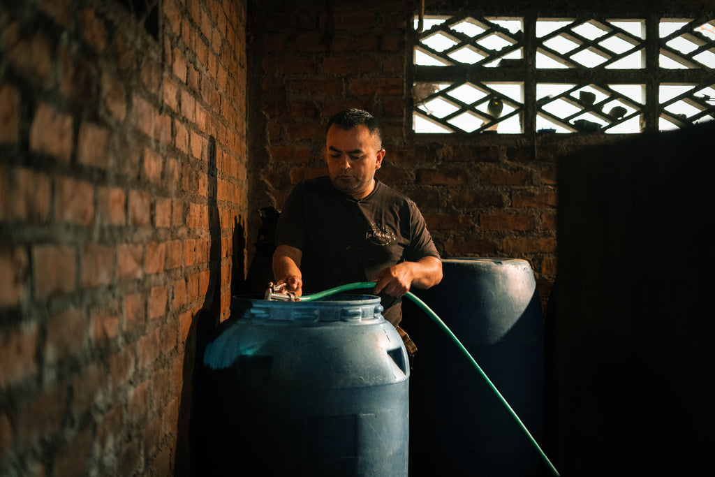 Willian Ortiz carefully filling a blue fermentation barrel with water using a green hose inside the brick processing room at La Cabaña Farm, executing the precise Thermo Shock experimental protocol for Somewhere Coffee's Castillo lot.