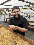 A farmer proudly holding a handful of dried, golden parchment coffee beans (Gesha varietal) at the raised drying beds of Laboyani Farm, located in Pitalito, Huila, Colombia.