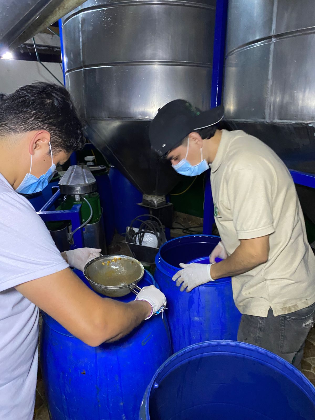 Technicians monitoring the fermentation process in blue drums at the Laboyani wet mill in Pitalito, Huila, ensuring the peak quality for Somewhere Coffee's single-origin Gesha.