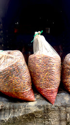 Clear plastic bags tightly tied and filled with whole Castillo coffee cherries undergoing a 140-hour anaerobic fermentation process in a dark environment at La Sirena Farm in Armenia, Quindío, creating the unique flavor profile for Somewhere Coffee.