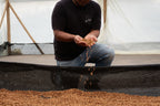 Producer Willian Ortiz kneeling over the drying beds, letting a stream of golden parchment Castillo coffee beans fall through his hands during the post-process stage at La Cabaña Farm in Bruselas, Huila, exclusively for Somewhere Coffee.
